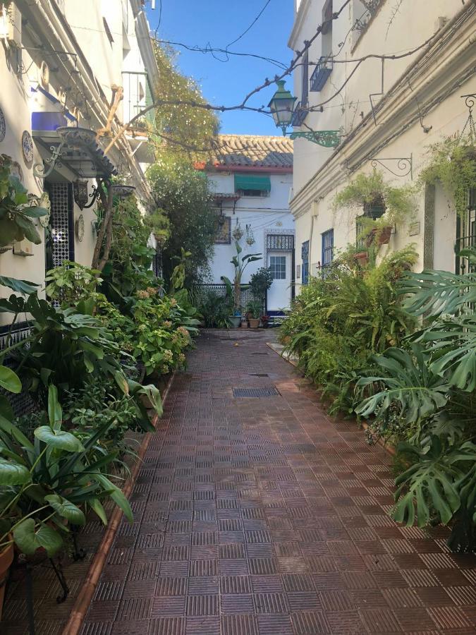 Charming House In Triana,Best City View From Patio Seville Exterior photo