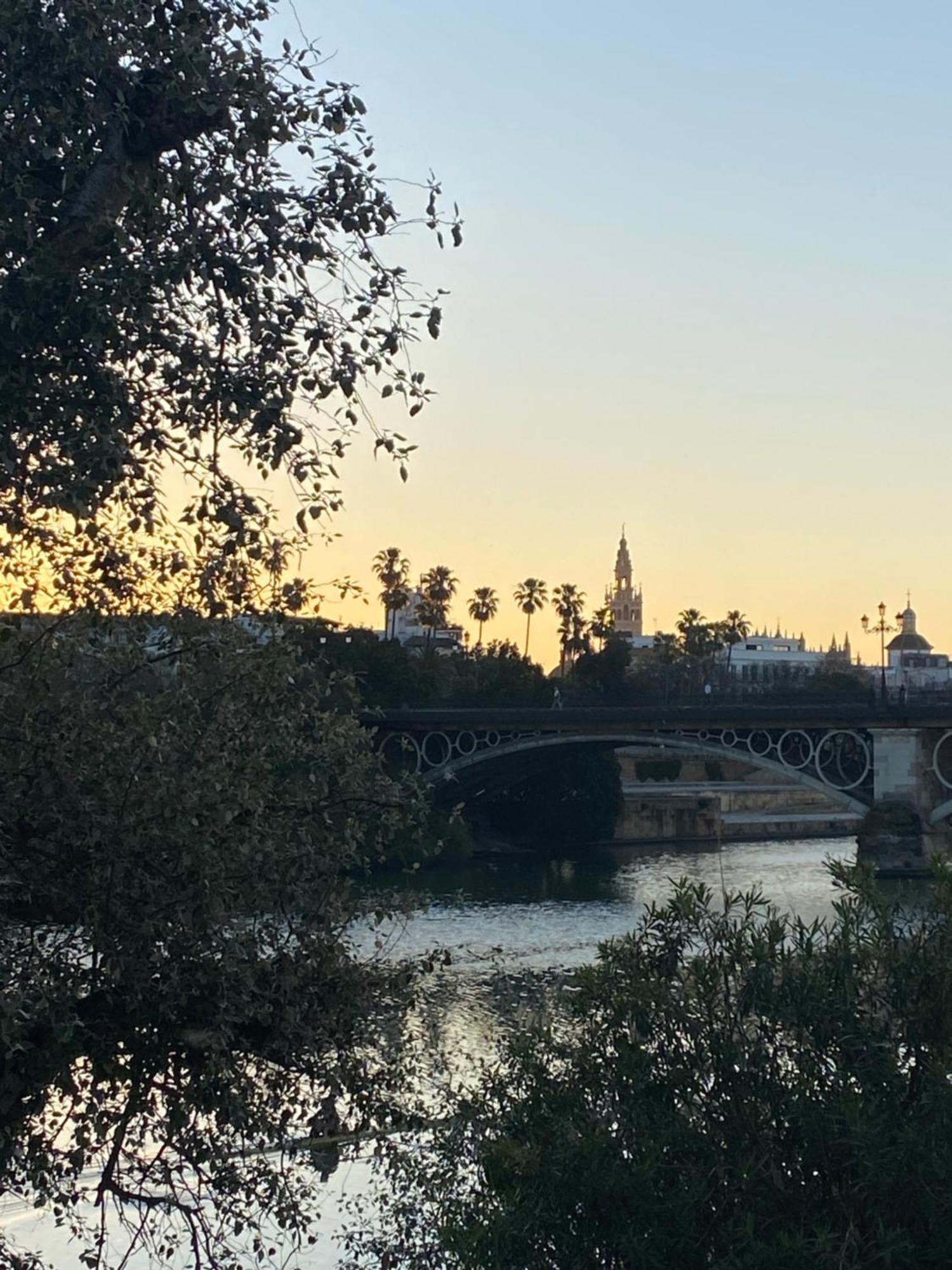 Charming House In Triana,Best City View From Patio Seville Exterior photo